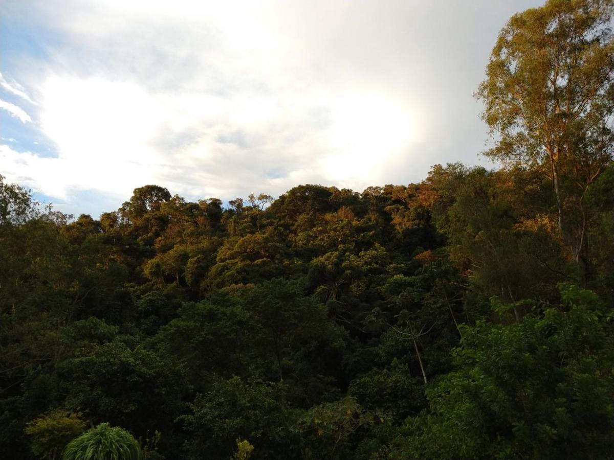 Pousada Reserva Nativida Santo Antônio do Pinhal 外观 照片